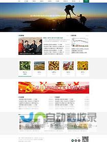 嘉兴网站建设：专业定制，提升品牌形象，助力企业发展